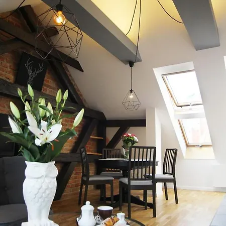 Serce Miasta -mostowa Apartment *