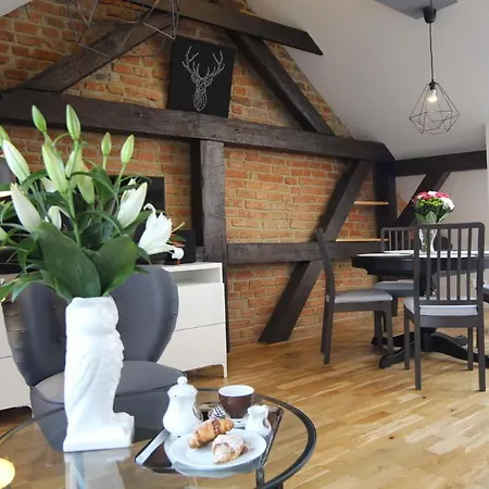 Serce Miasta -mostowa Apartamento